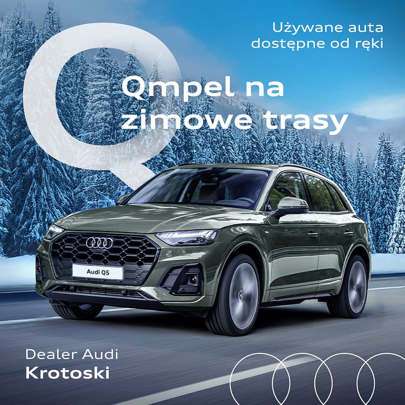 1x1Grafika_Audi_GK_04