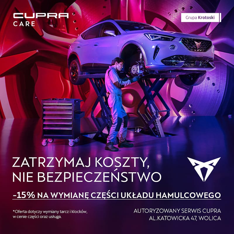 Grafiki_CUPRA_Hamulce_02
